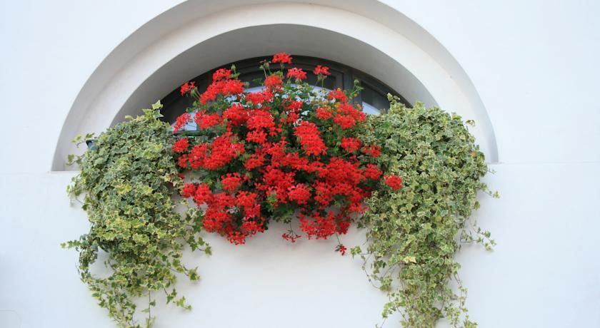 Al Bagolaro Bed & Breakfast Crocetta del Montello Luaran gambar